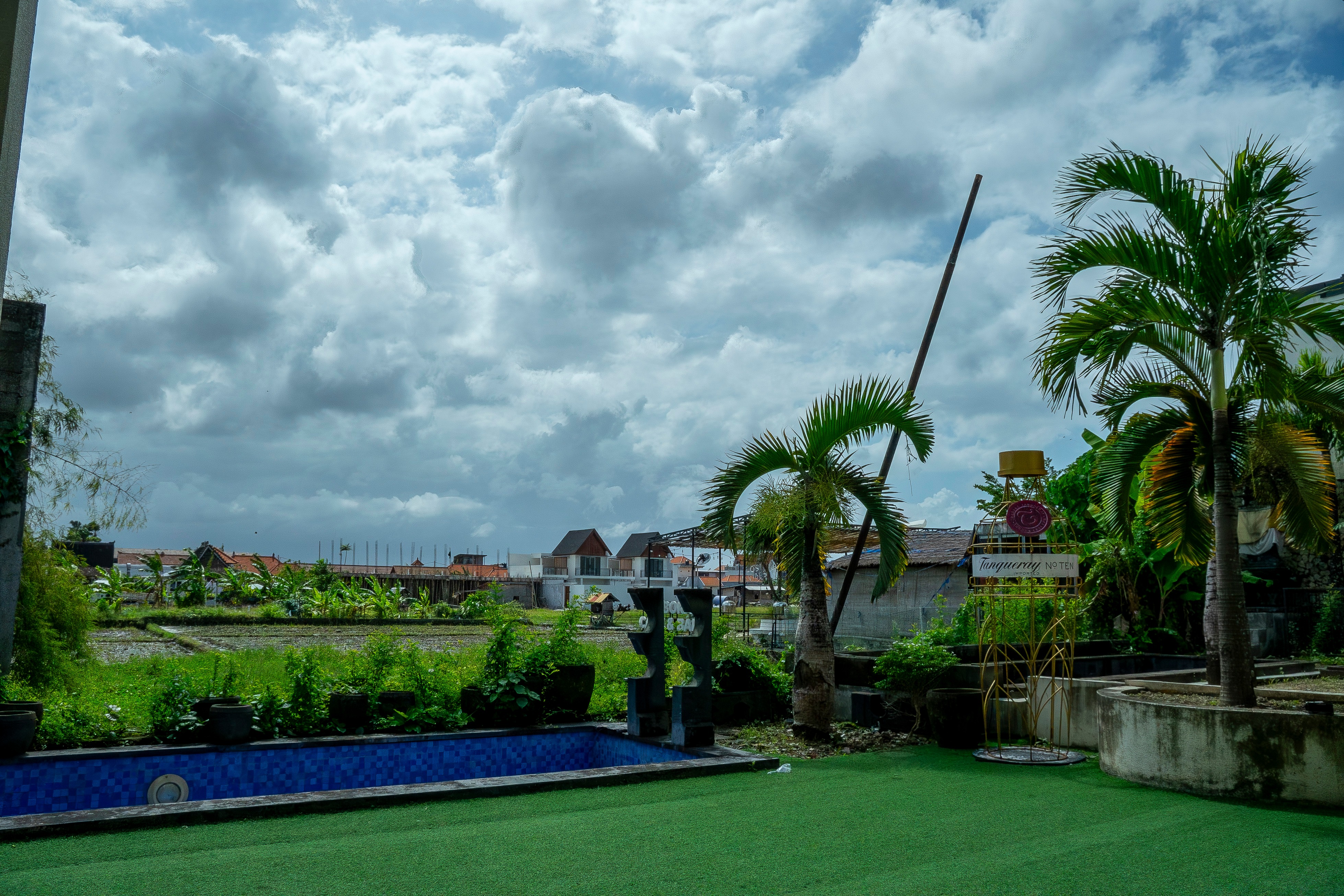 Outdoor pool area with palm trees and green turf
